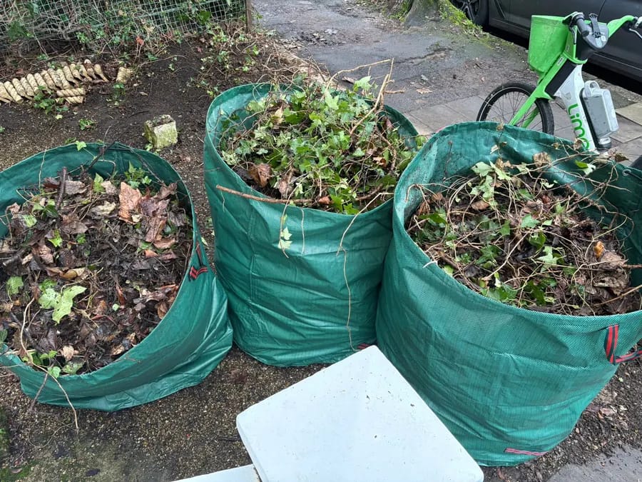 Bags of garden waste ready for collection