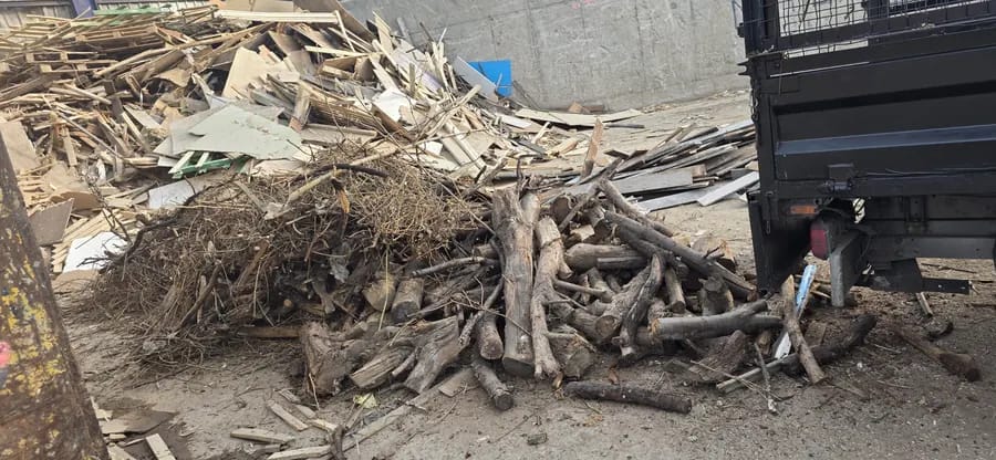Wood and branches piled up for collection