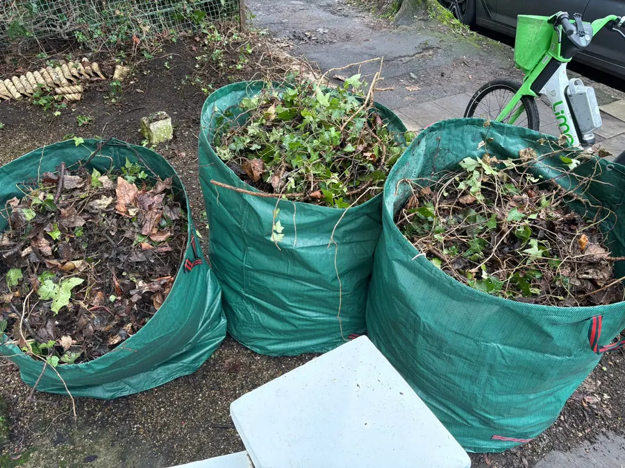 Garden waste bagged and ready
