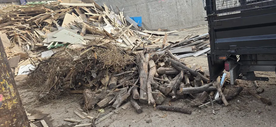 Wood and branches sorted for recycling